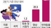 <b>“나가면 돈 덩어리”… 외식 대신 집밥, 여행 대신 OTT 홈캉스 늘었다</b>