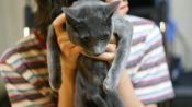 <b>김희철, 21살 반려묘 희범 떠나보냈다…"무덤덤하지 않아" 먹먹한 심경</b>