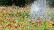 <b>대구·경북 무더위 이어져…낮 기온 29∼36도</b>
