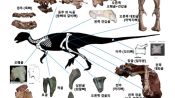 <b>한국 이름 공룡 뼈 화석 '코리아노사우루스' 천연기념물 됐다</b>