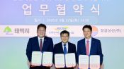 <b>친환경 선박 연료 시장 공략…태백시, 동점산단에 청정메탄올 거점 조성</b>
