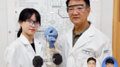 <b>KAIST “석유 대신 대장균으로 고성능 접착제 만든다”</b>