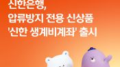 <b>신한은행, 월 250만 원 보호 '생계비계좌'로 채무자 안전망 강화</b>