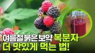 여름철 붉은 보약 복분자! 더 맛있게 먹는 법 | KBS 250714 방송