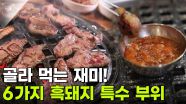 스타밥집: 배우 구본승이 엄선한 제주 맛집! 흑돼지 맛의 신세계 | KBS 251121 방송