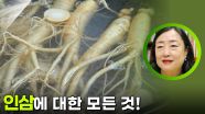 인삼에 대한 모든 것! ＂인삼 더 효과적으로 먹는 법＂ | KBS 251201 방송