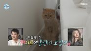 코드 쿤스트의 변수는 시루😸 어쩔 수 없이(?) 계획 중단, MBC 251017 방송