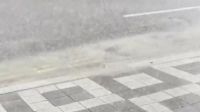 <b>"불과 1~2분 만에"...세찬 비에 막힌 배수로</b>