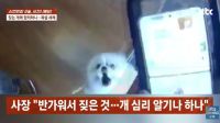 강아지가 달려들어 항의했더니…"안 물어" 배달기사에 욕설·폭언