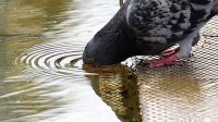 <b>낮 최고 37도 찜통더위…중부·전북 오후 소나기</b>