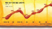 <b>계란 한판 1만원 눈앞…장바구니 물가 넘어 외식업계 '비상'</b>