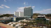 <b>포항시, 민선9기 민생경제 회복 속도 낸다…소상공인·전통시장 활성화</b>