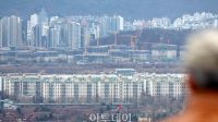 전문가 "강남 하락·외곽 상승, 규제가 만든 '쏠림'⋯시장 정상화 판단은 시기상조"
