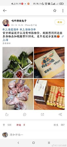 "금반지 팔아야 식재료 한 번 구매" [웨이보 캡처. 재판매 및 DB 금지]