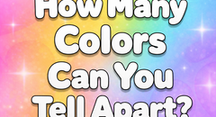 How Many Colors Can You Tell Apart? (복제)