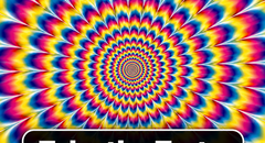 The Ultimate Optical Illusion Quiz (복제)