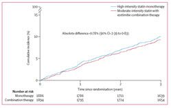병용요법군(붉은색)과 단독요법군(파란색)에서 3년간 심혈관계 사망이나 뇌졸중 발생률, 주요 심혈관 사건 발생률에서 큰 차이를 보이지 않아 병용요법의 효과를 확인할 수 있다.