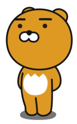 라이언 이미지/사진=머니투데이 DB