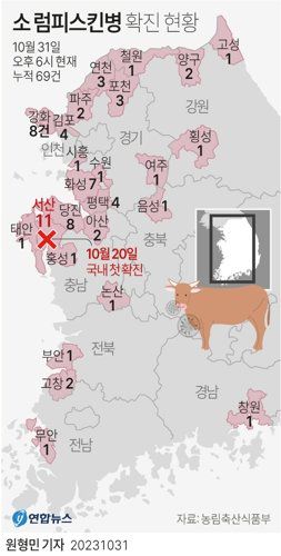 [그래픽] 소 럼피스킨병 확진 현황(종합) (서울=연합뉴스) 원형민 기자 = 국내 소 럼피스킨병 확진 사례가 31일 모두 69건으로 늘었다. 럼피스킨병 중앙사고수습본부(중수본)는 지난 20일부터 전날까지 모두 67건이 확진됐고, 이날 오후 6시 기준 인천 강화와 전북 고창에서 2건이 추가됐다고 밝혔다. circlemin@yna.co.kr 페이스북 tuney.kr/LeYN1 트위터 @yonhap_graphics (끝) <저작권자(c) 연합뉴스, 무단 전재-재배포 금지> /사진=연합 지면화상