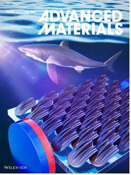어드밴스드 머티리얼즈 국제 학술지 표지[부산대 제공]