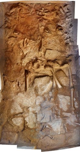 부여 응평리 백제 고분 발굴 모습[국립부여문화재연구소 제공. 재판매 및 DB 금지]