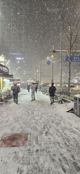 첫눈을 맞는 하수구는 제설제의 공포에 뜬다(사진=SDG뉴스)