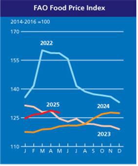 연도별 식량가격지수[농림축산식품부 제공. 재판매 및 DB금지]