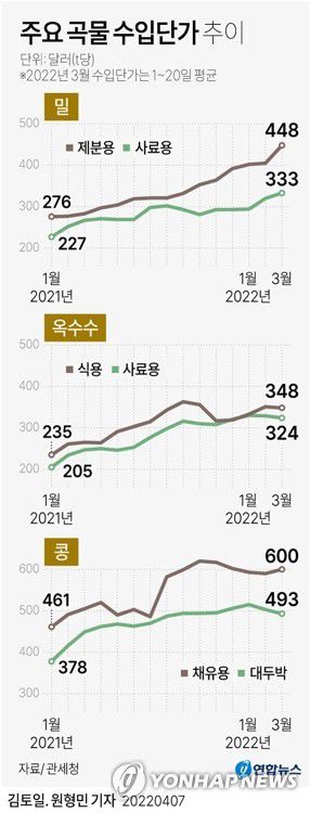 [그래픽] 주요 곡물 수입단가 추이(서울=연합뉴스) 김토일 원형민 기자 = kmtoil@yna.co.kr     페이스북 tuney.kr/LeYN1 트위터 @yonhap_graphics