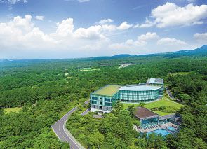 ▶WE=제주 WE호텔(사진 아래)은 한라산 숲속에 자리한 자연 중심형의 프리미엄 헬스리조트로, 한라산 청정숲과 지하 암반에서 올라오는 청정수 등 천혜의 자연 유산을 보유한 힐링 공간이다. 테라피는 이 호텔을 만든 의사들이 숲건강, 물건강 전문가와 함께 설계했다.