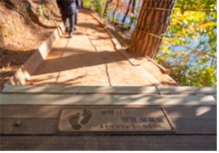 ▲땅뫼산 황토숲길. 부산관광공사 제공