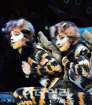 몽고제리&럼플티저