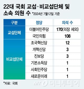 22대 국회 교섭·비교섭단체 및 소속 의원 수/그래픽=김지영