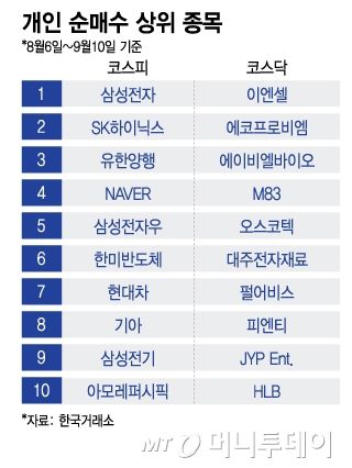 개인 순매수 상위 종목/그래픽=이지혜