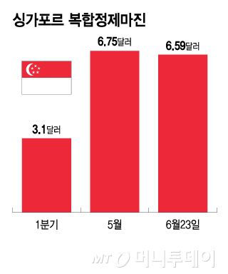 싱가포르 복합정제마진/그래픽=이지혜