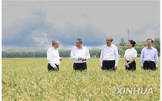 '발암물질 배추' 파장...중국 총리 "농장서 식탁까지 철저 감독"