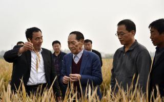 중국 ‘과학 영웅’ 비방한 200만 인플루언서, 계정 정지 이어 구속 수사