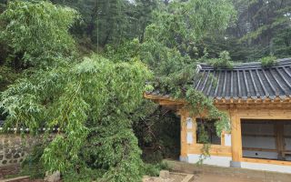 이순신이 삼도수군 지휘했던 곳도 파손···거제·통영 폭우에 구 대흥여관 등 국가유산 5곳 피해