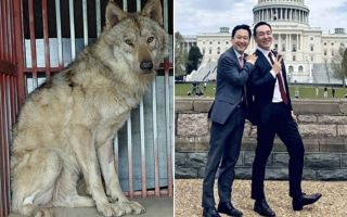 똑같은 10일인데…늑구와 장동혁의 극과 극 평행이론