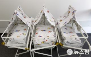 독일 작년 출생아 수, 2차 대전 이후 최저로 추락… 베이비붐 정점 때의 절반 이하