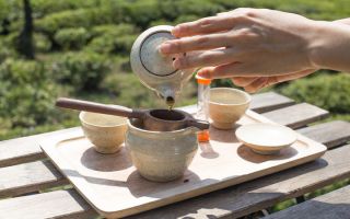 "봄철 재채기 멈춘다?"…日 연구진 "말차, 알레르기 증상 완화 가능"