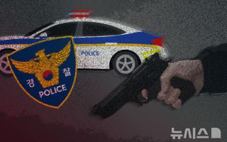 인천 장봉도서 고라니 향해 쏜 총에 맞은 80대 경상