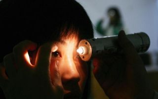 새우 폐사시킨 바이러스 사람에 전이…“불결한 해산물 눈 질환 유발”