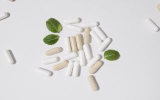 “뇌 영양제 맹신 안돼… 보충제는 보조일 뿐 치료제 아냐”