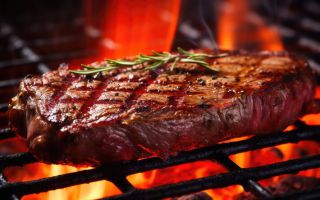 “3개월 육식으로 내장지방 90% 제거”…사실일까?