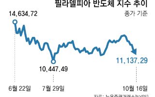 美 반도체지수 8일 연속 하락… 개미들 “조정 길어지나” 한숨