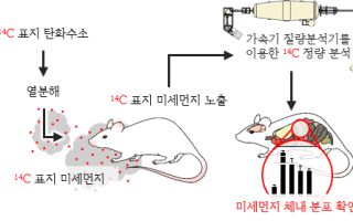 "미세먼지, 뇌·간까지 침투"…KIST 체내 미세먼지 측정 기술 개발