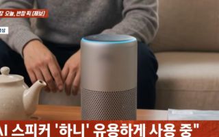 AI 스피커에 "사랑해" 애정 듬뿍 남편…아내 "둘이 살아" 집 나간 사연