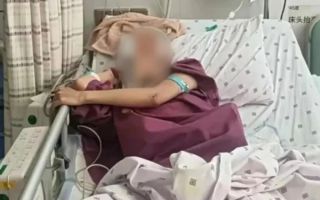 남친 폭행·감금에 18층서 투신...중국 20대, 나무에 걸려 구사일생