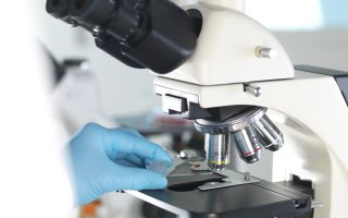 “무능해 보이는 게 두려웠다”…DNA 감정 239건 조작한 과학수사요원에 日 ‘발칵’