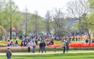 순천만국가정원 관람객 올해 100만 돌파, 지역경제도 활짝!